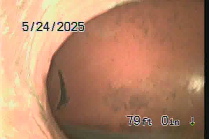 Frame